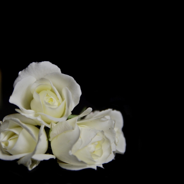 Abschied von Hans Wilhelm Resch