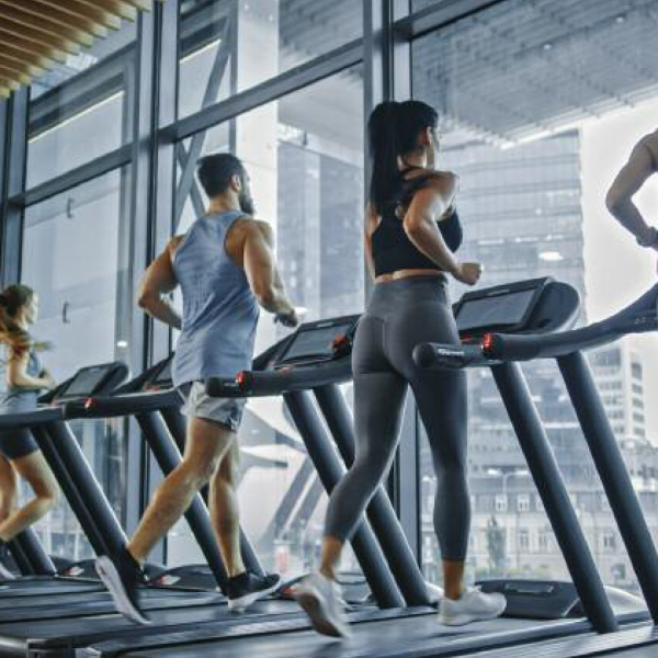 Gesundheitsbooster Cardiotraining